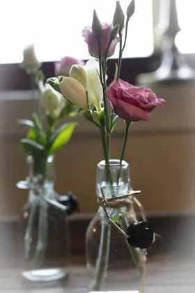 Tek Büyük Yataklı Oda, Ortak Banyo (Private WC)