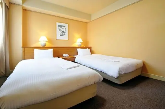 İki Ayrı Yataklı Oda (Large Twin Room)