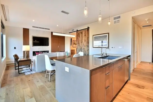 Süit, 1 Yatak Odası (Lift)