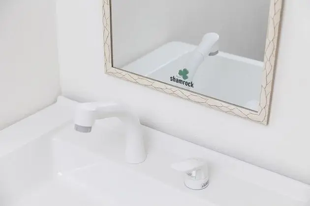 Ev