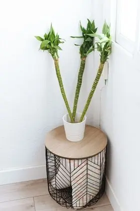 Apart Daire, 3 Yatak Odası, Balkon