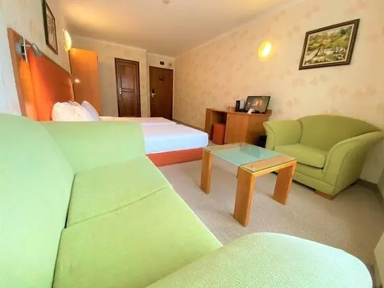 Superior Tek Büyük veya İki Ayrı Yataklı Oda (Free Fitness and Sauna )