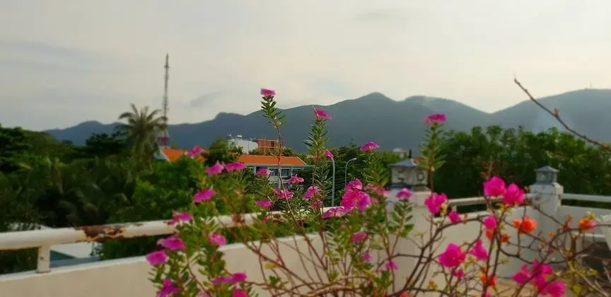 Panoramic Dört Kişilik Oda