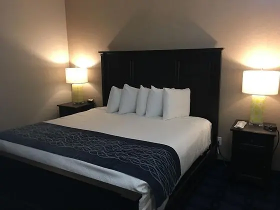 Comfort Stüdyo Süit
