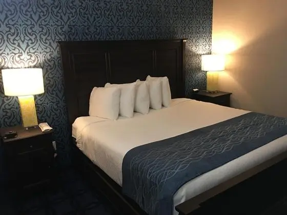 Honeymoon Oda, Nehir Manzaralı