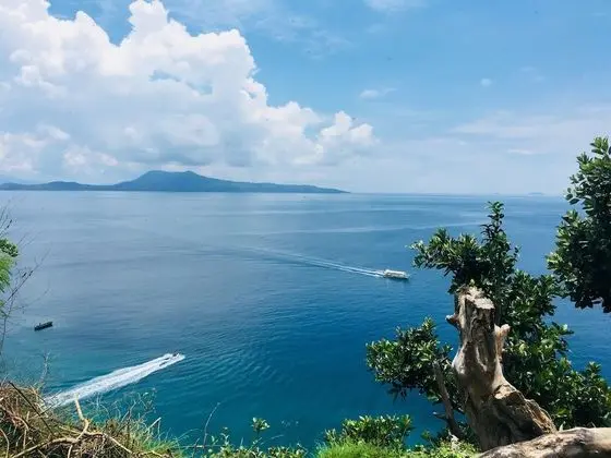 Luxury Villa, 3 Yatak Odası