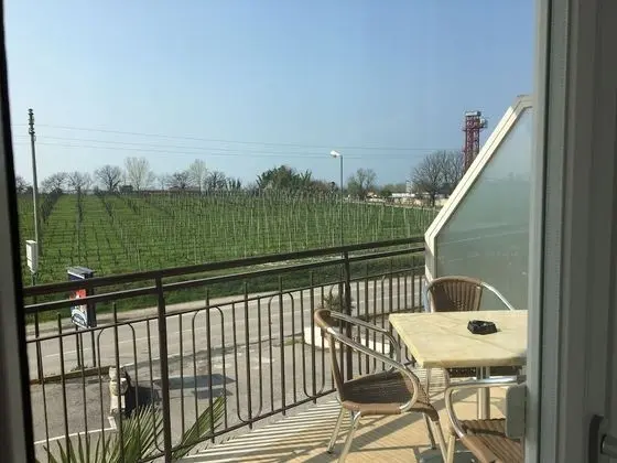 Tek Büyük Yataklı Oda, Balkon, Kısmi Göl Manzaralı