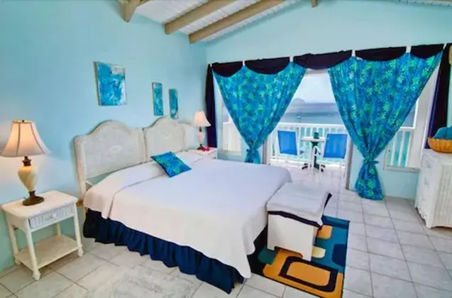 Tek Kişilik Oda (Terrace Level Suite)