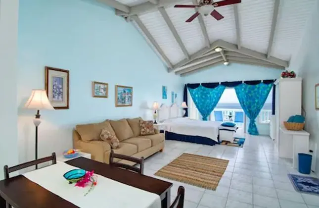 Tek Kişilik Oda (Terrace Level Suite)