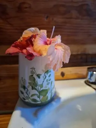 Romantic Kulübe, 1 Büyük (Queen) Boy Yatak, Okyanus Manzaralı