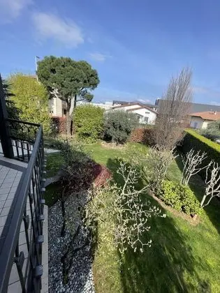 Süit