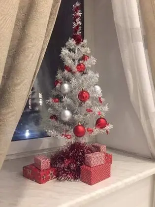 Tek Büyük Yataklı Oda (White)