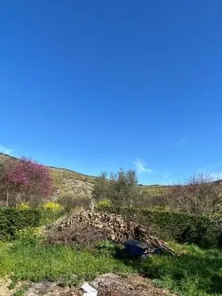 Villa, 4 Yatak Odası, Şömine