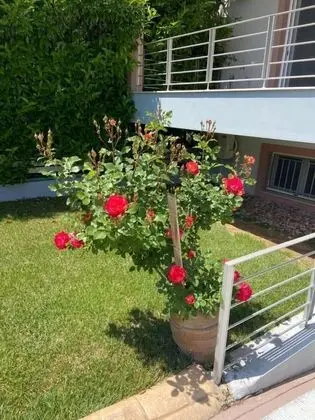 Villa, 4 Yatak Odası, Şömine