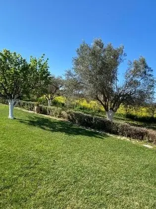 Villa, 4 Yatak Odası, Şömine