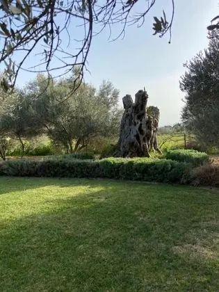 Villa, 4 Yatak Odası, Şömine