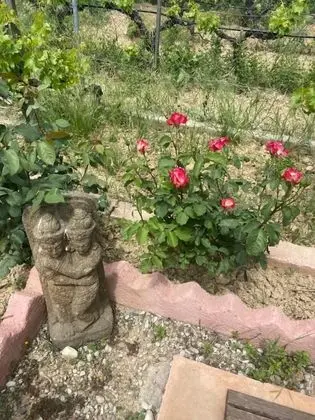 Villa, 4 Yatak Odası, Şömine