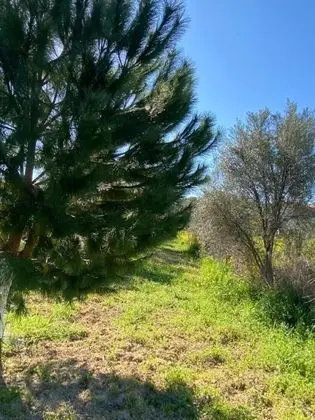 Villa, 4 Yatak Odası, Şömine