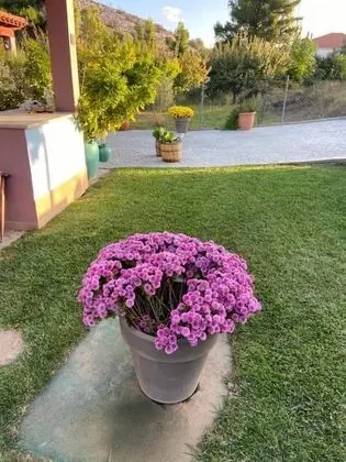 Villa, 4 Yatak Odası, Şömine