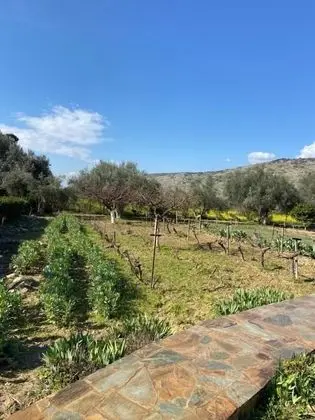 Villa, 4 Yatak Odası, Şömine