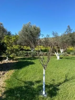 Villa, 4 Yatak Odası, Şömine