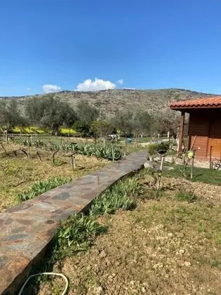 Villa, 4 Yatak Odası, Şömine