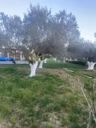 Villa, 4 Yatak Odası, Şömine