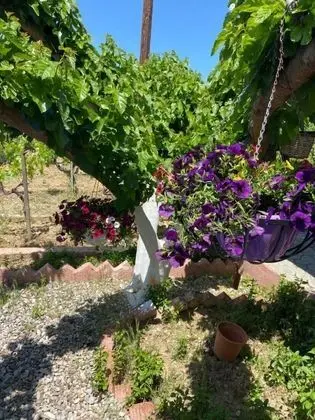 Villa, 4 Yatak Odası, Şömine