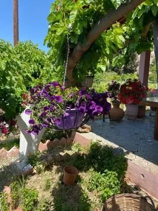 Villa, 4 Yatak Odası, Şömine
