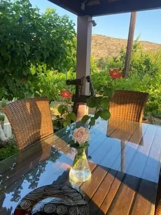 Villa, 4 Yatak Odası, Şömine