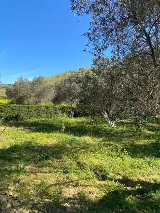 Villa, 4 Yatak Odası, Şömine