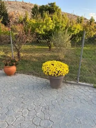 Villa, 4 Yatak Odası, Şömine