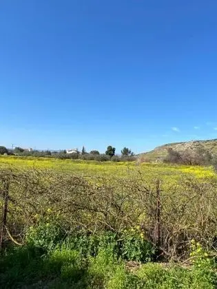 Villa, 4 Yatak Odası, Şömine