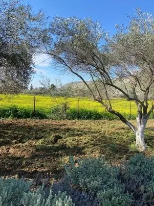 Villa, 4 Yatak Odası, Şömine