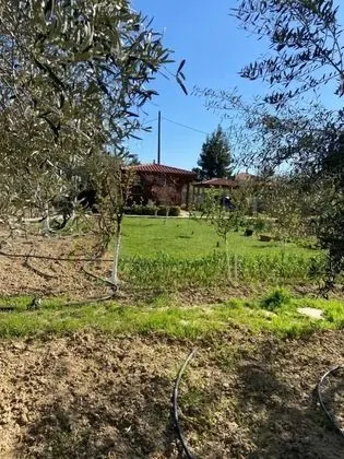 Villa, 4 Yatak Odası, Şömine