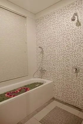 Deluxe Kır Evi