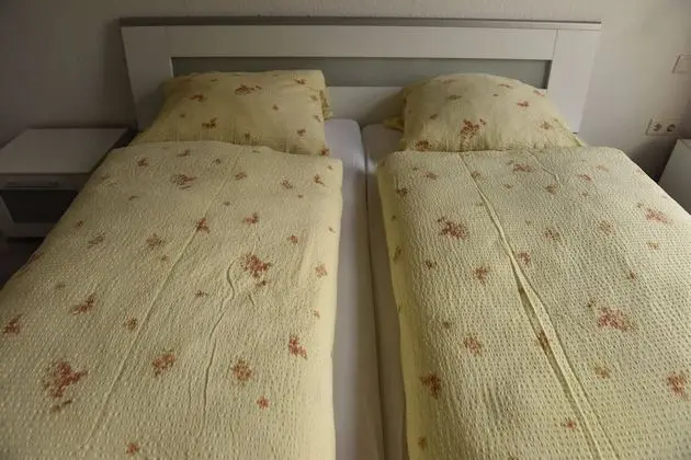 Comfort Daire, Şehir Manzaralı