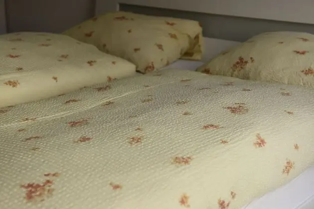 Comfort Daire, Şehir Manzaralı