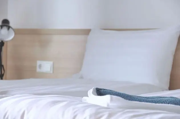 Deluxe Tek Büyük Yataklı Oda (Mountain & Glacier View)