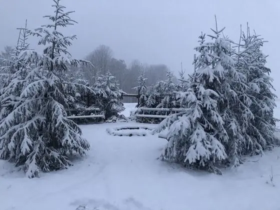 Kır Evi, Birden Çok Yatak