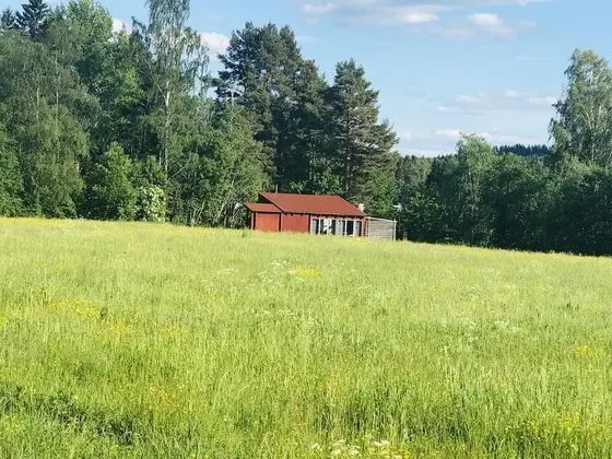 Kır Evi, Birden Çok Yatak