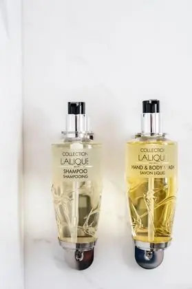 Deluxe Oda, 1 En Büyük (King) Boy Yatak, Sigara İçilmez, Zemin Kat (Twin bed on request)