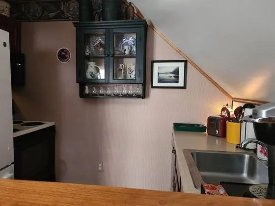 Süit