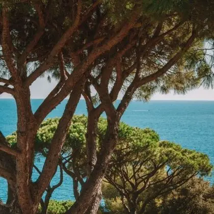 Deluxe Oda, Deniz Manzaralı