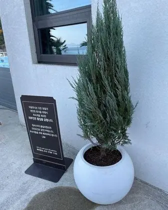 Basic Oda, 1 Büyük (Queen) Boy Yatak, Okyanus Manzaralı (private whirlpool, 102)