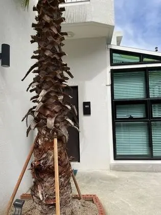 Basic Stüdyo, 1 Büyük (Queen) Boy Yatak, Okyanus Manzaralı (private whirlpool, 103)