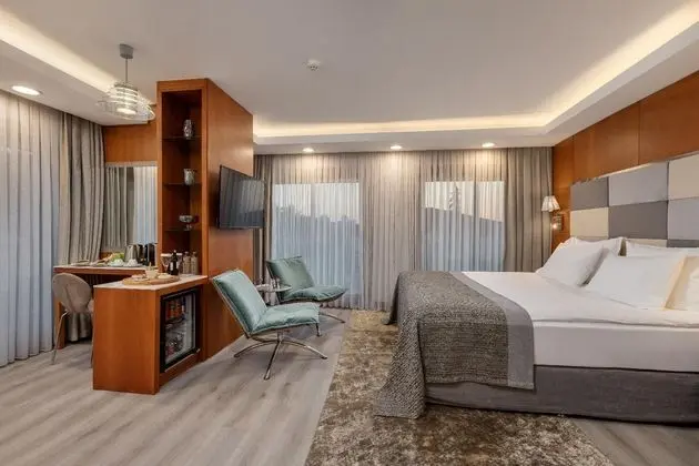 Executive Suite,Şehir Manzaralı