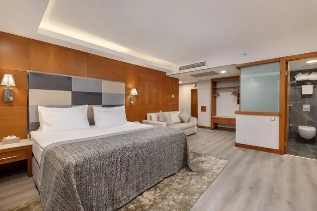Executive Suite,Şehir Manzaralı