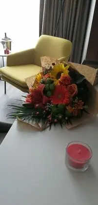 Deluxe Tek Büyük Yataklı Oda, 1 Yatak Odası, Sigara İçilmez, Dağ Manzaralı