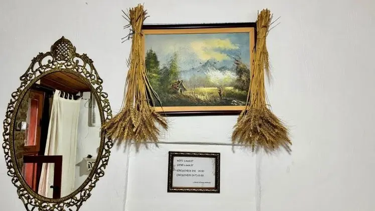 Bahçe Katı Standart Oda, Bahçe Manzaralı